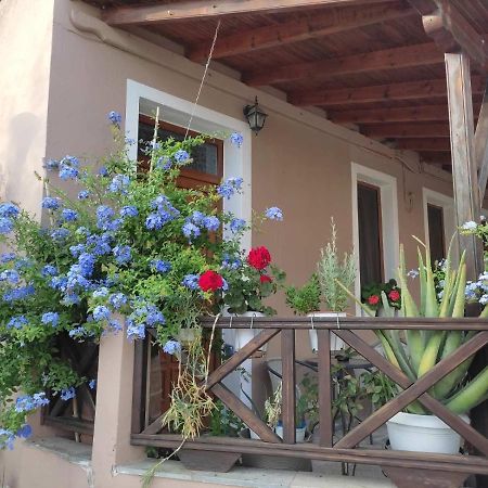 Plumbago Apartment Theologos  Екстериор снимка